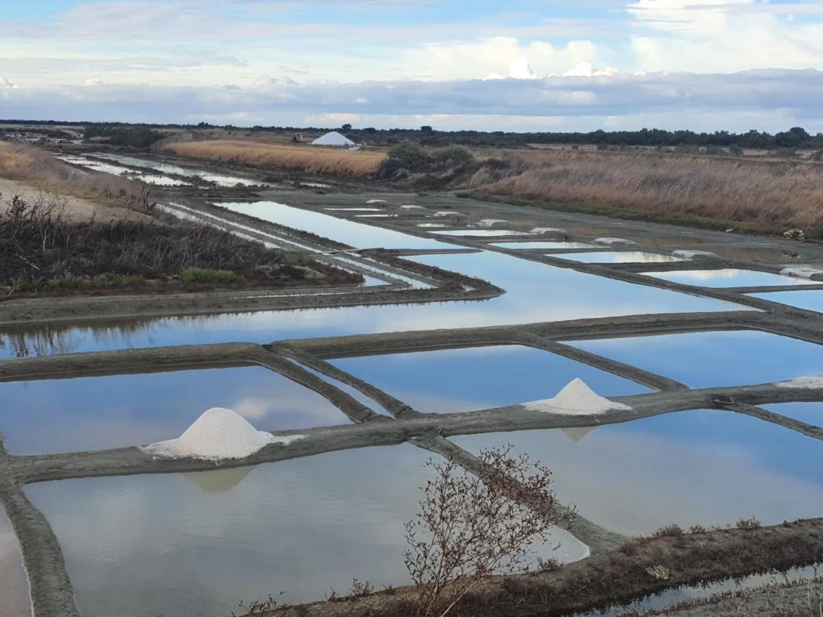 Appartamento Côté Ré Saint-Martin-de-Ré Esterno foto