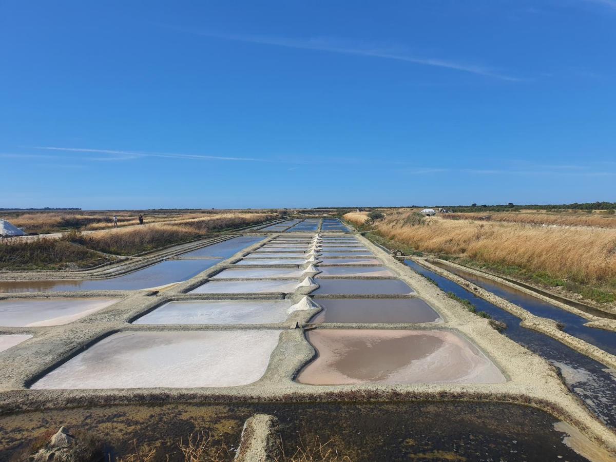 Appartamento Côté Ré Saint-Martin-de-Ré Esterno foto